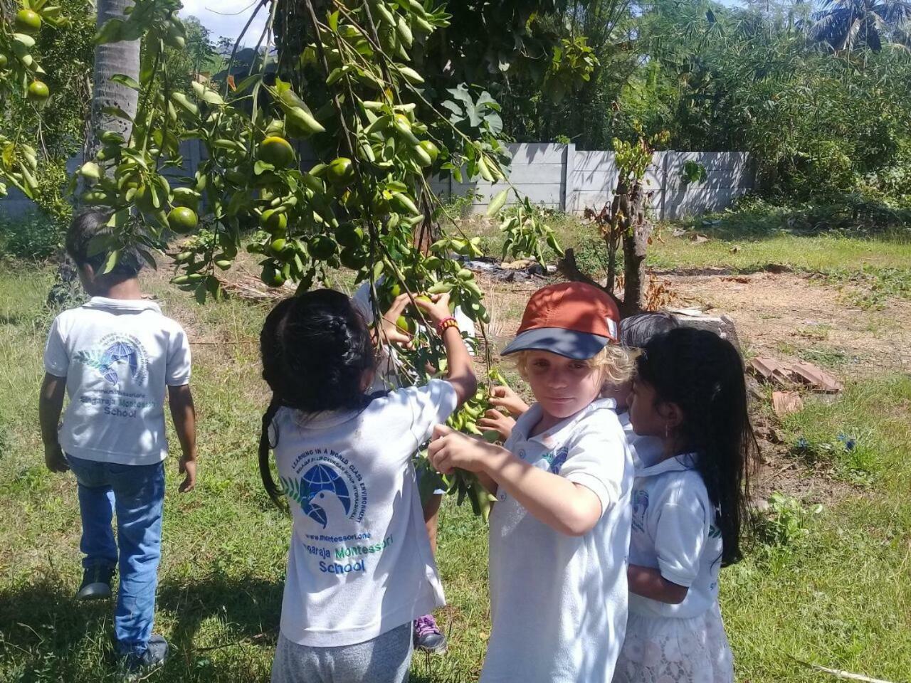 Grokgak Buana Ecofarm Ecolodge מראה חיצוני תמונה