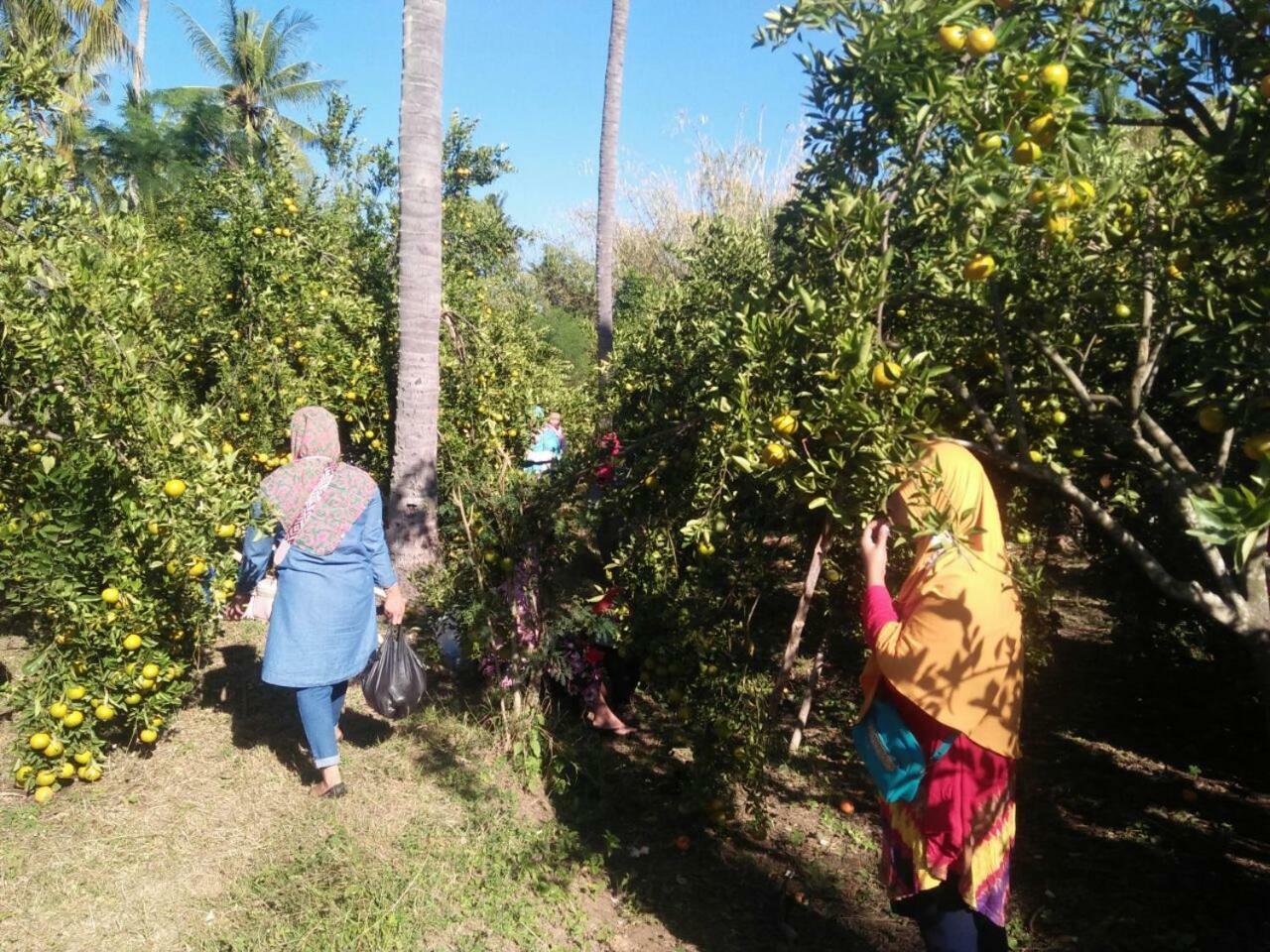 Grokgak Buana Ecofarm Ecolodge מראה חיצוני תמונה