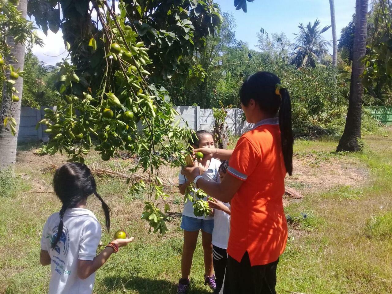Grokgak Buana Ecofarm Ecolodge מראה חיצוני תמונה